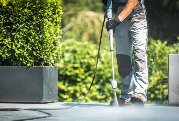 Best Animal Enclosure Cleaning  in Bolingbrook, IL
